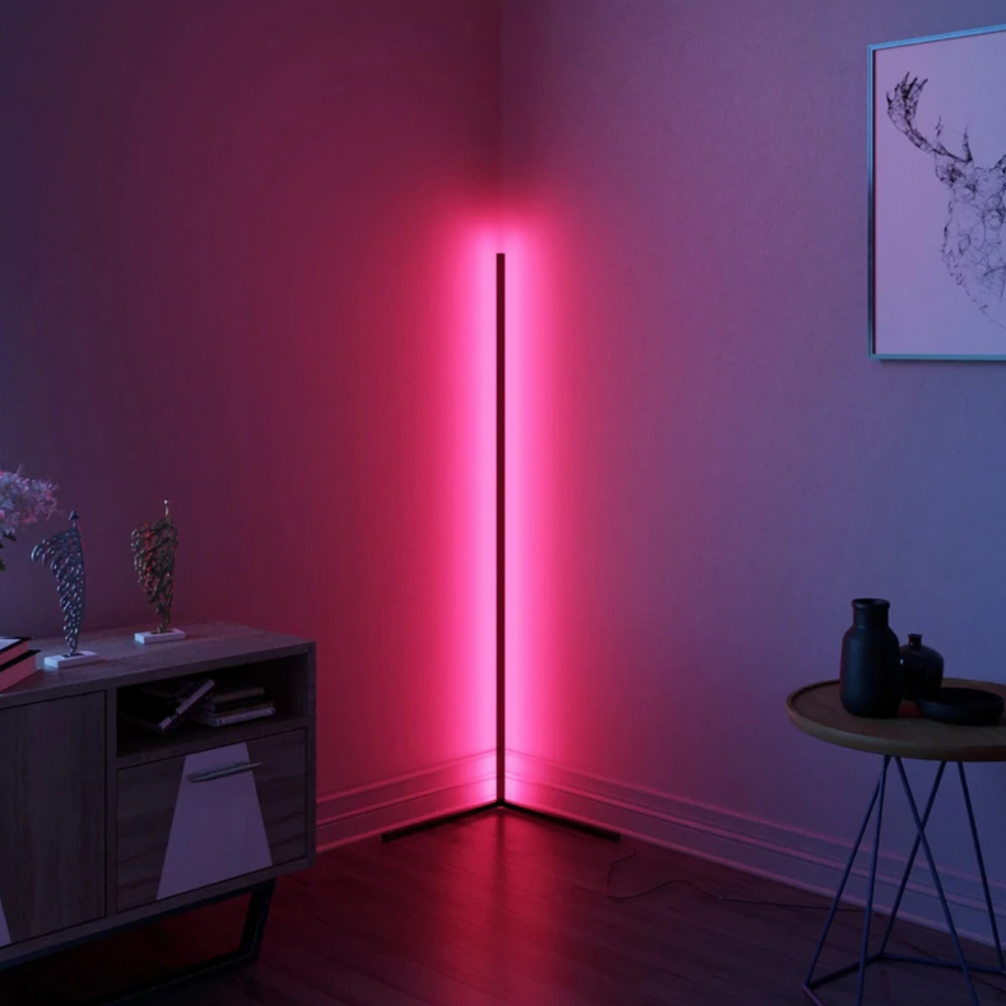 LED Floor Lamp